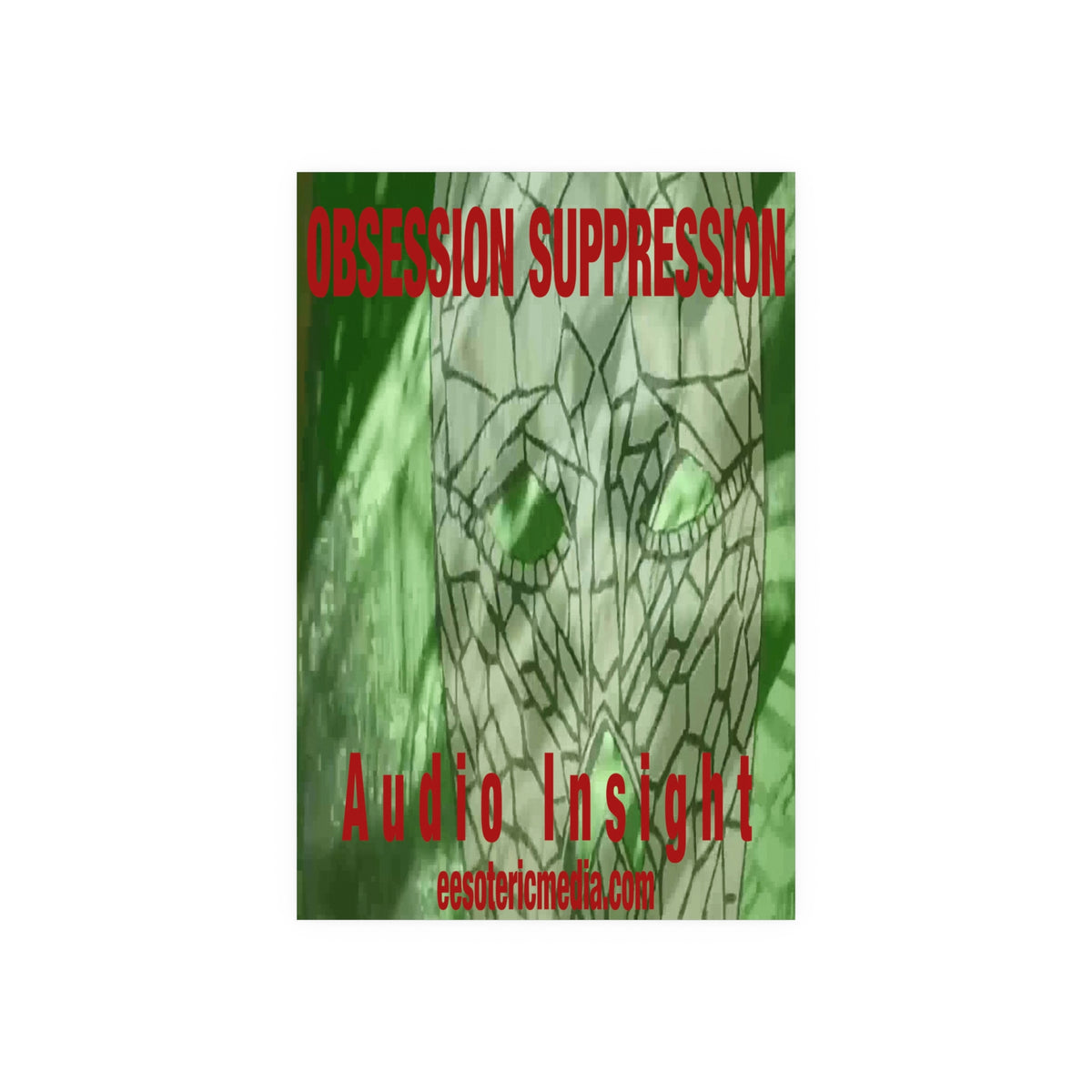 Large 'Obsession Suppression' (Audio Insight) Surreal Space Skull Graphic Art Print 40"x60" (100cm x 150cm)