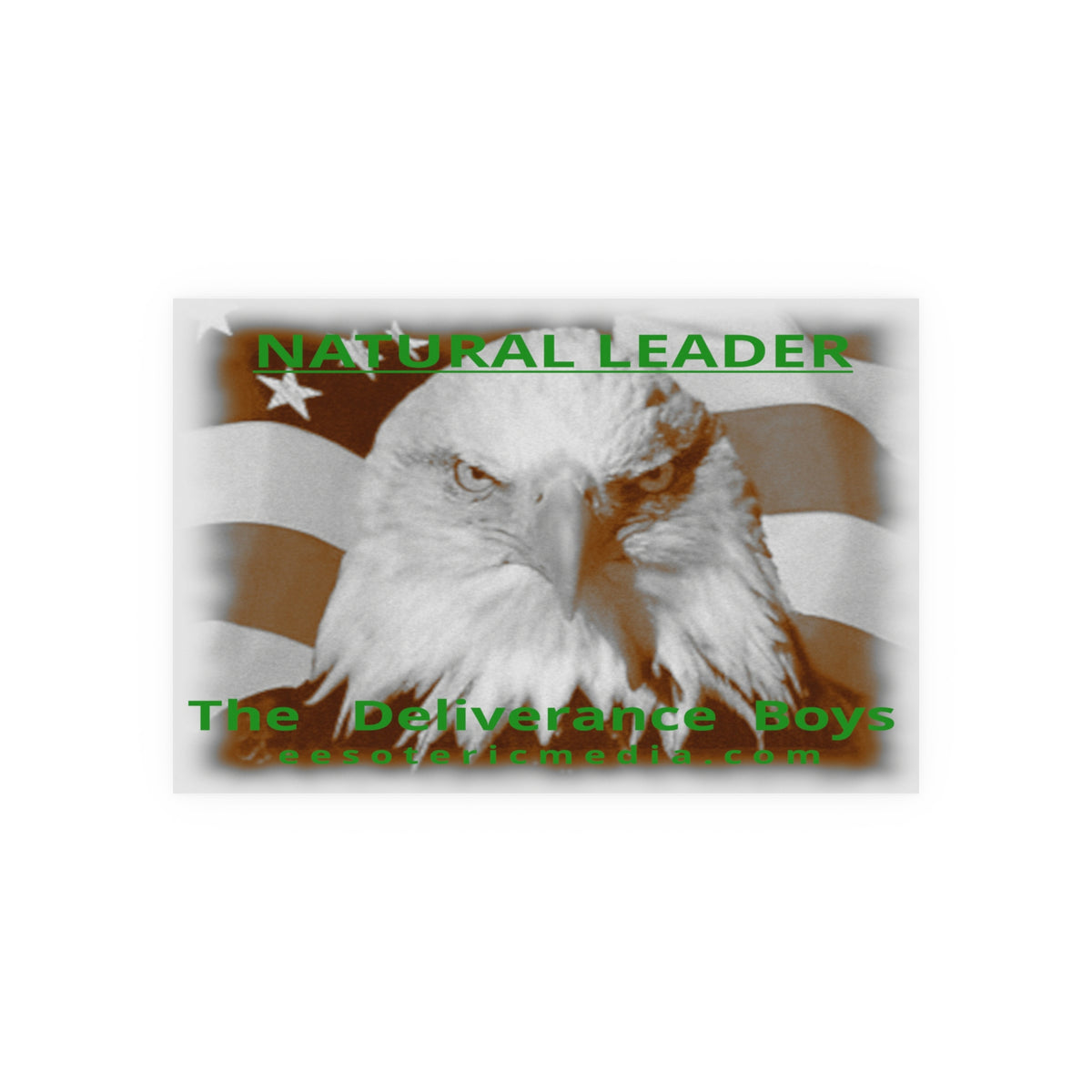 „Natural Leader“ (The Deliverance Boys) Kunstdruck mit einem Weißkopfseeadler, 90 × 60 cm